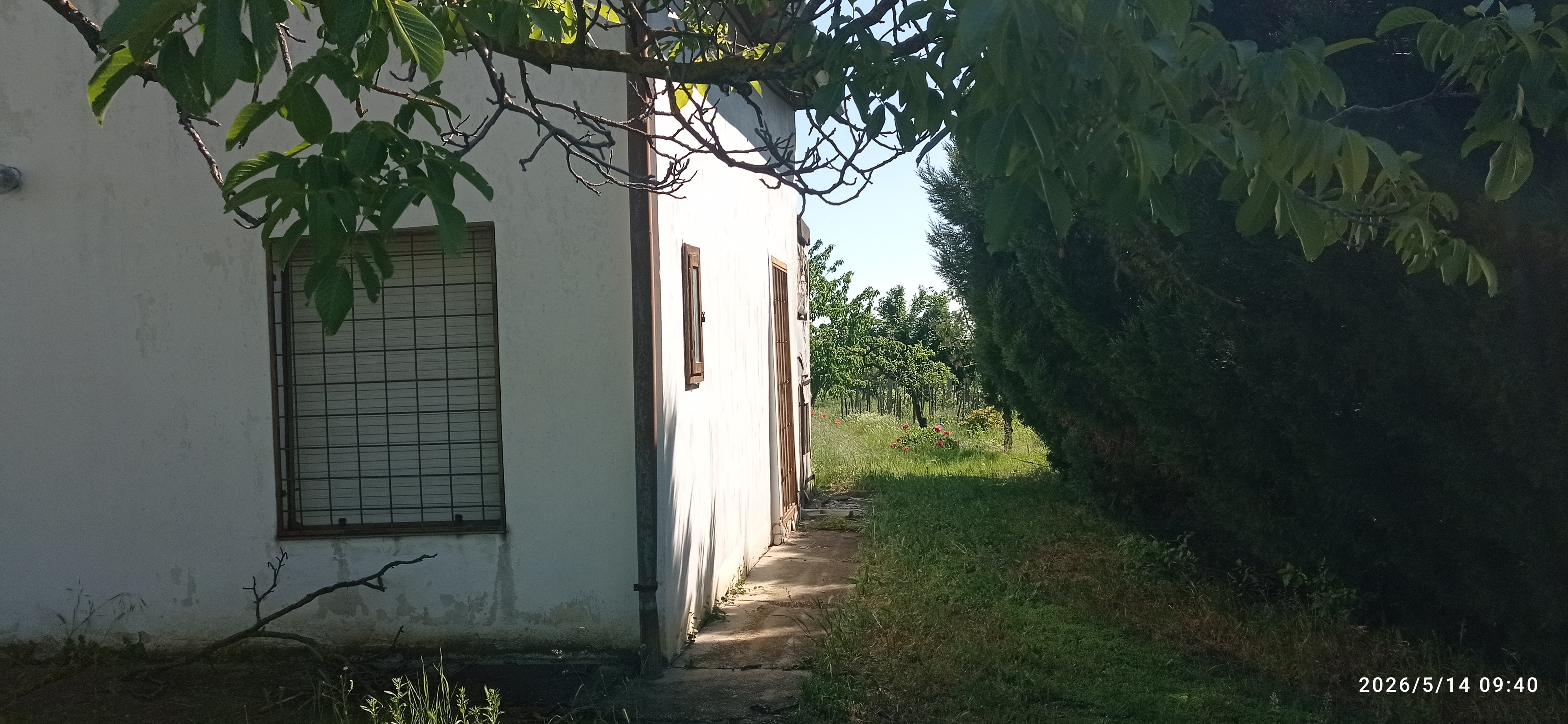 Galéria kép